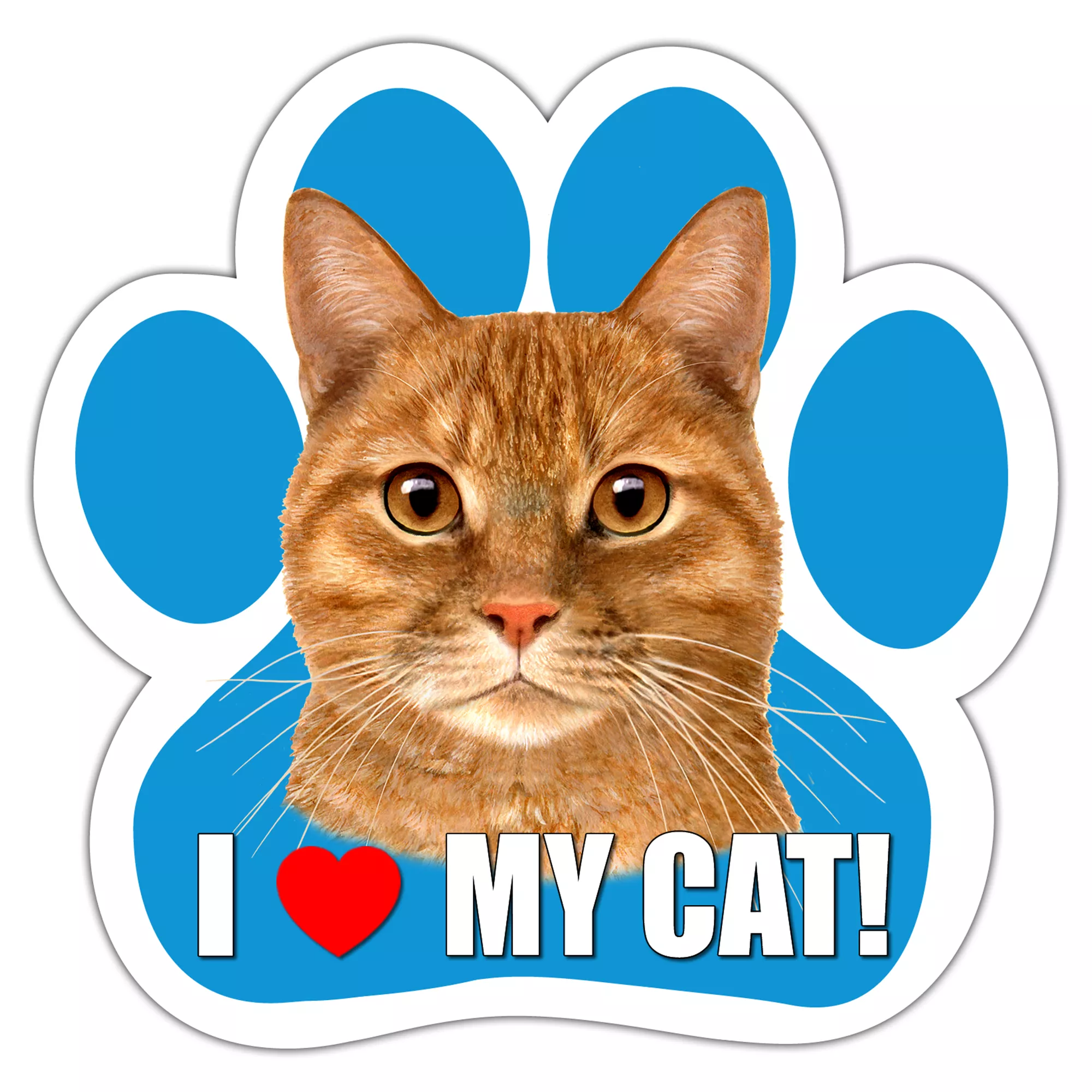 E&S Pets Orange Tabby Cat Paw Shaped Car Magnet