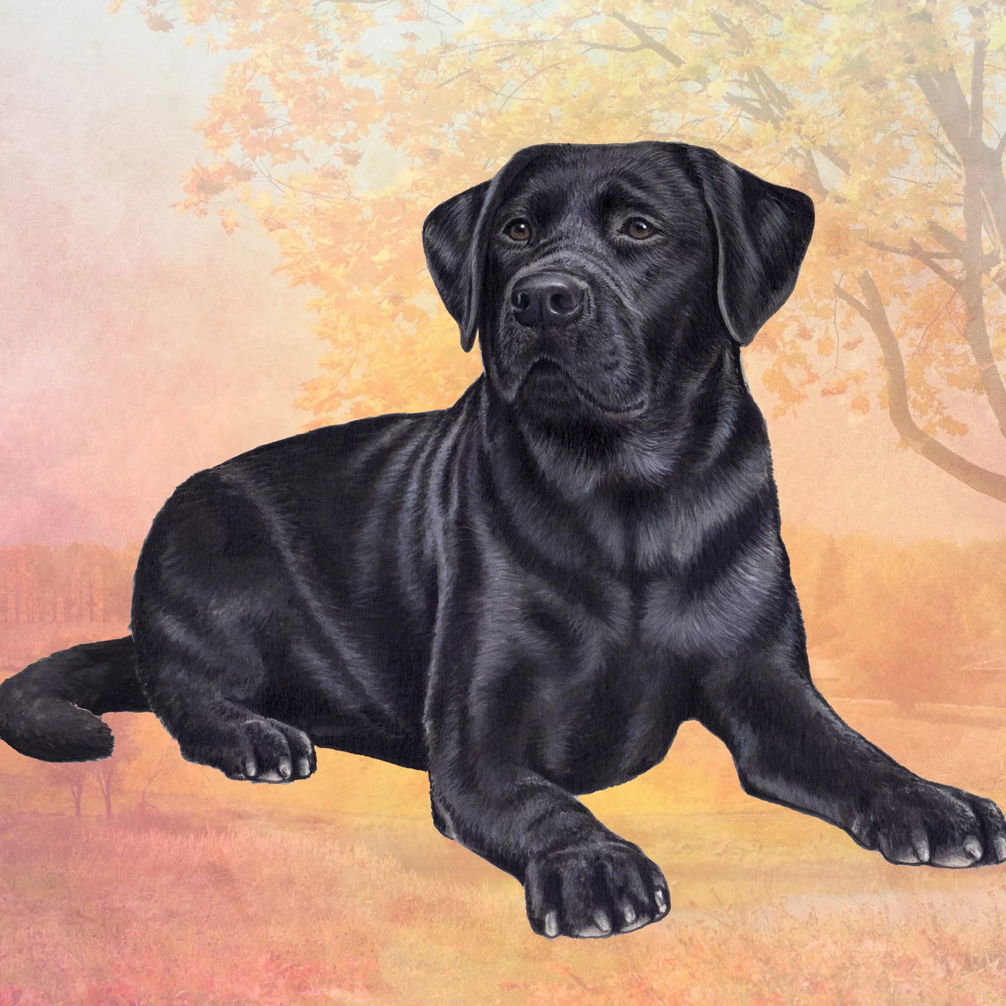 E&S Pets Black Labrador Square Coaster