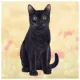 Product E&S Pets Black Cat Square Coaster