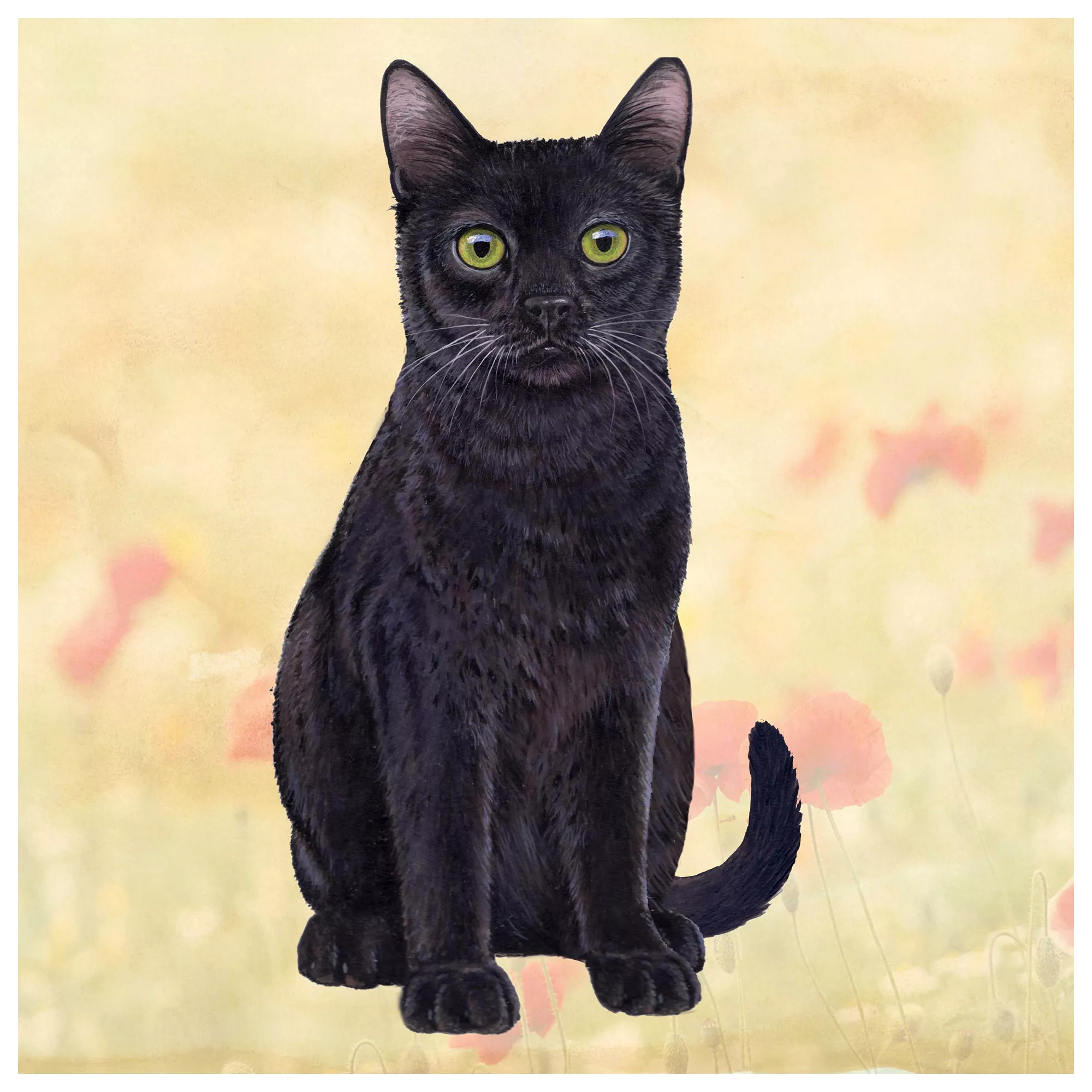 E&S Pets Black Cat Square Coaster