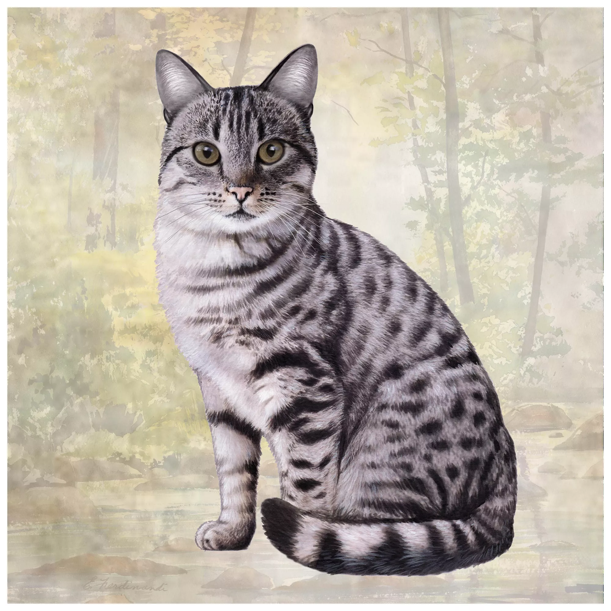 E&S Pets Silver Tabby Cat Square Coaster