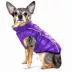Hip Doggie Featherlite Reversible Dog Coat image thumbnail 6