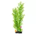 Top Fin® Artificial Green & Yellow Aquarium Plant - 18" image thumbnail 1