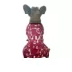 Product Hip Doggie Ivory Ella Winter Wonderland Dog Pajamas