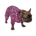 Hip Doggie Ivory Ella Winter Wonderland Dog Pajamas image thumbnail 4
