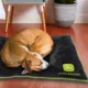 Product Pets First John Deere Pillow Dog Bed