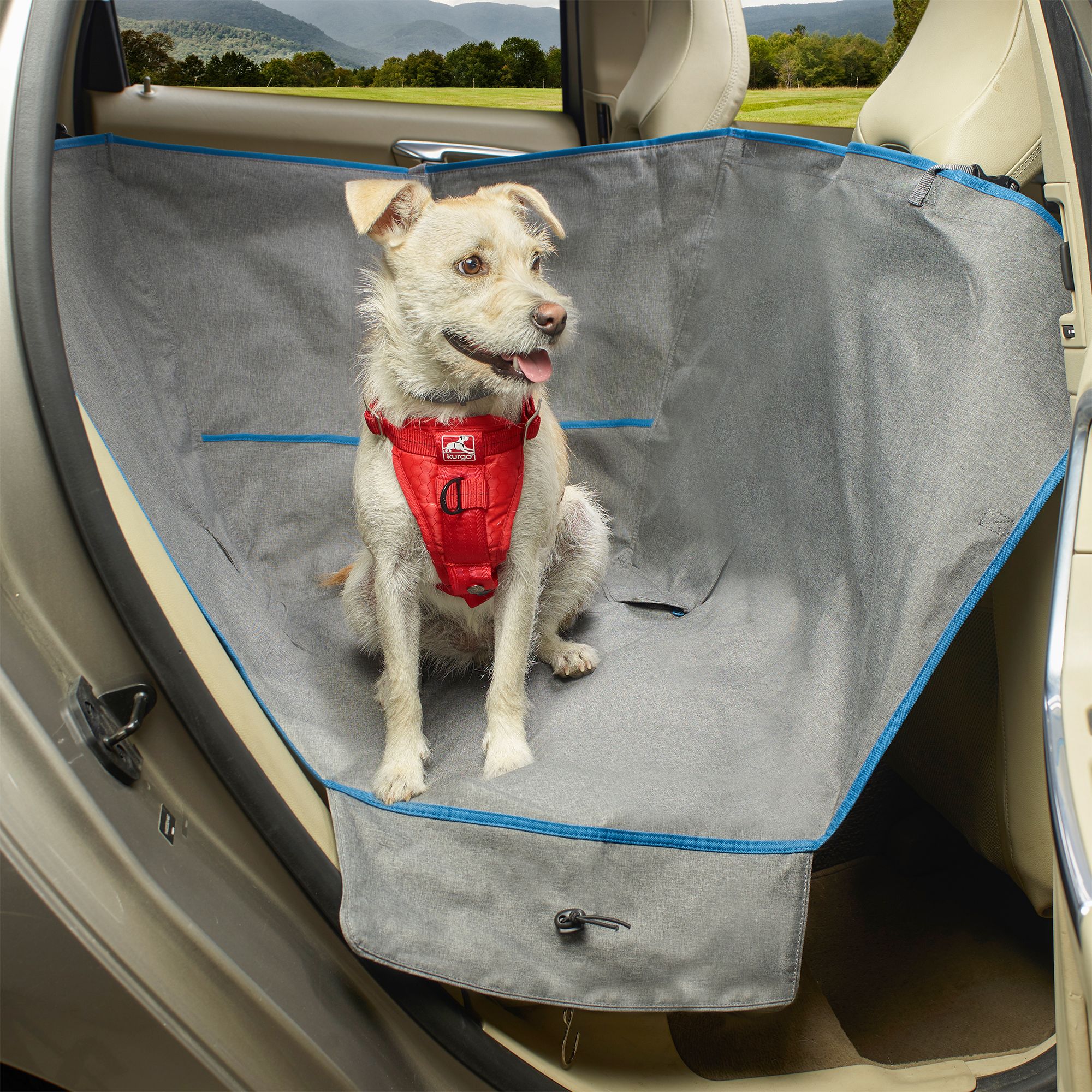 Dog Car Barriers Dog Car Dividers Gates Seat Belts PetSmart