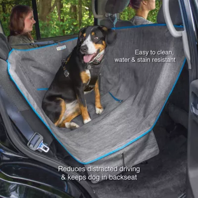 Petsmart car seat covers best sale