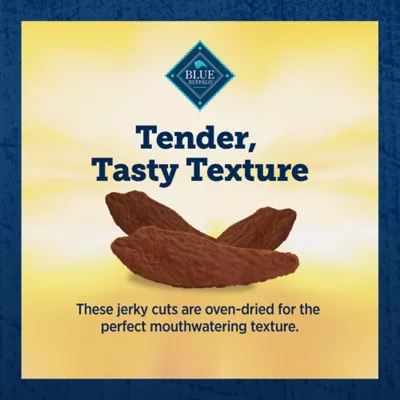 Product Blue Buffalo® True Chews Premium Jerky Cuts All Life Stages Dog Treats - Steak