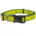 Pets First John Deere Satin Dog Collar image thumbnail 1
