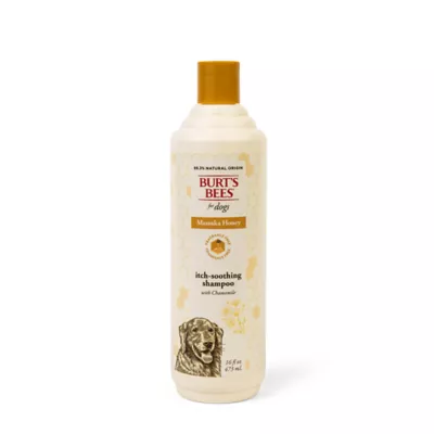 Product Burt's Bees® for Pets Itch Shampoo - Manuka Honey and Chamomile