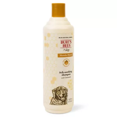 Burt's Bees® Anti-Itch Dog Shampoo - Manuka Honey & Chamomile 16 oz - Image 3