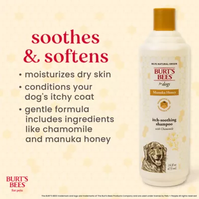 Burt's Bees® Anti-Itch Dog Shampoo - Manuka Honey & Chamomile 16 oz - Image 4