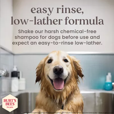 Burt's Bees® Anti-Itch Dog Shampoo - Manuka Honey & Chamomile 16 oz - Image 9