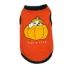 Hip Doggie Ivory Ella Halloween Pumpkin Dog Tee image thumbnail 1