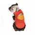 Hip Doggie Ivory Ella Halloween Pumpkin Dog Tee image thumbnail 3