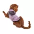 Hip Doggie Ivory Ella Halloween Bat Dog Tee image thumbnail 3