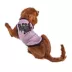 Hip Doggie Ivory Ella Halloween Bat Dog Tee image thumbnail 3