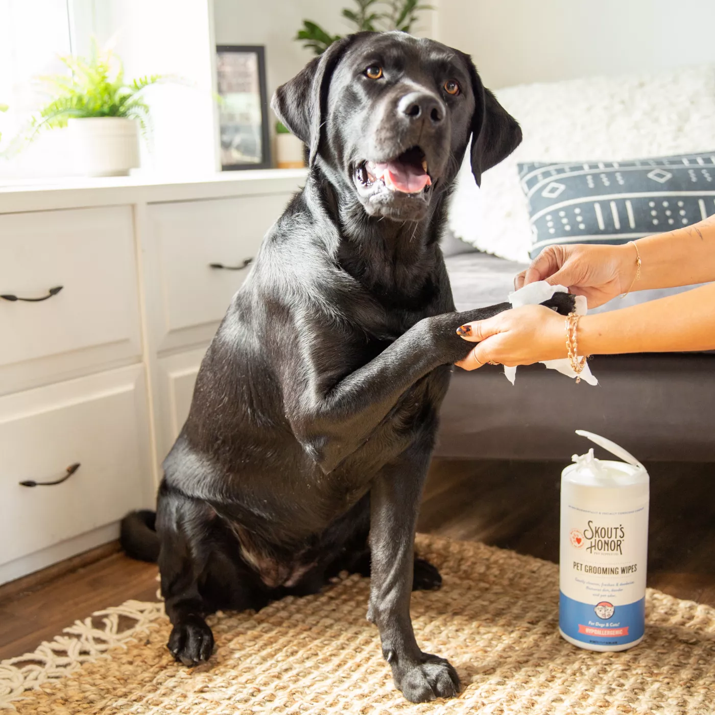 Skout s Honor Pet Grooming Wipes