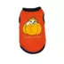 Hip Doggie Ivory Ella Halloween Pumpkin Dog Tee image thumbnail 1