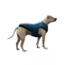 Hip Doggie Navy Plaid Flex-Fit Reversible Dog Coat image thumbnail 5
