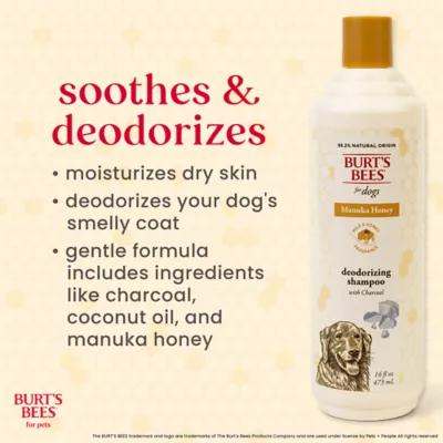 Burt's Bees® Deodorizing Dog Shampoo - Manuka Honey & Charcoal 16 oz - Image 4