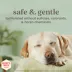 Burt's Bees® Deodorizing Dog Shampoo - Manuka Honey & Charcoal 16 oz image thumbnail 5