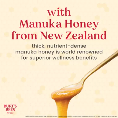 Burt's Bees® Anti-Itch Soothing Dog Spray - Manuka Honey 10 oz - Image 8