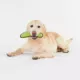 Product Joyhound Rip Roarin' Tough Aligator Dog Toy - Squeaker