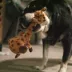KONG® Shakers™ Bobz Giraffe Dog Toy image thumbnail 2