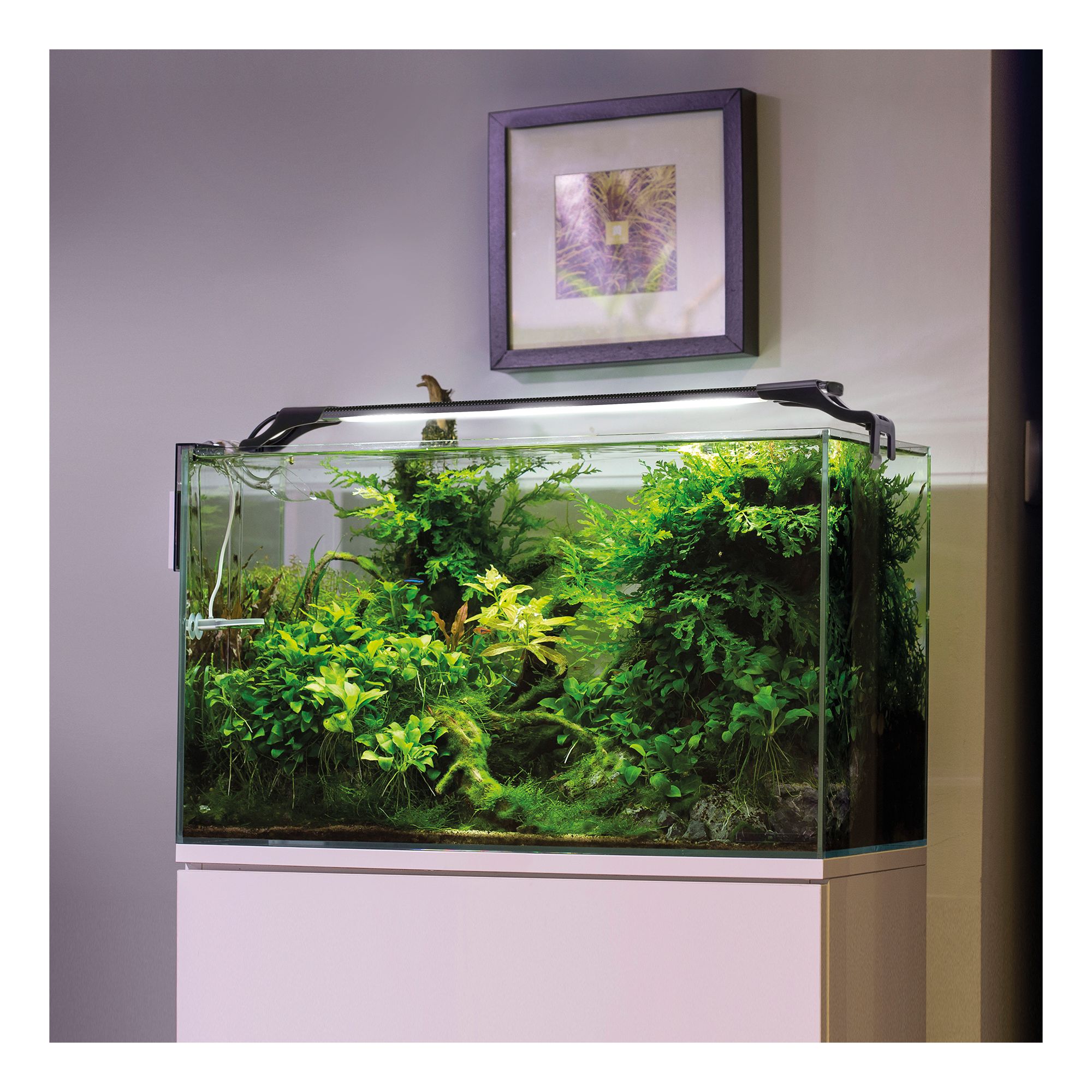 Leddy Slim Sunny Lamp 10W for Fish Tanks - thumbnail 3