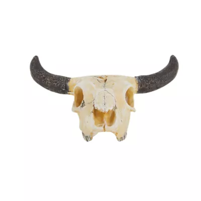 Product Top Fin® Western Animal Skull Aquarium Ornament