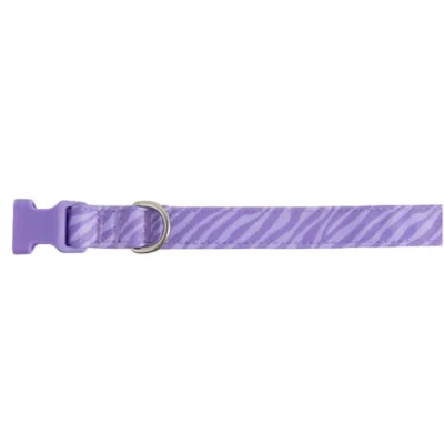 Product Top Paw® Purple Zebra Print Dog Collar