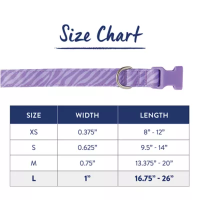 Purple dog collars petsmart best sale