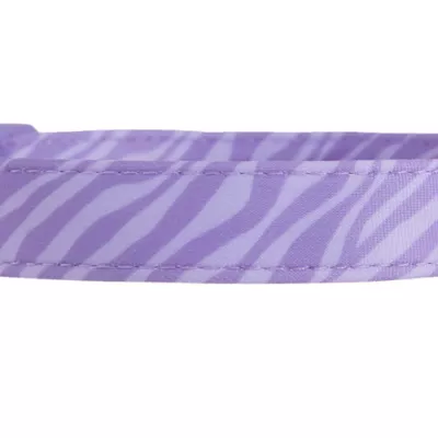 Product Top Paw® Purple Zebra Print Dog Collar