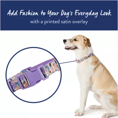 Product Top Paw® Purple Floral Dog Collar