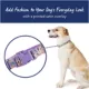 Product Top Paw® Purple Floral Dog Collar