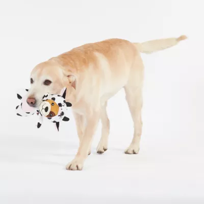 Product Joyhound Crazy Comfy Plush Cow Dog Toy - Squeaker