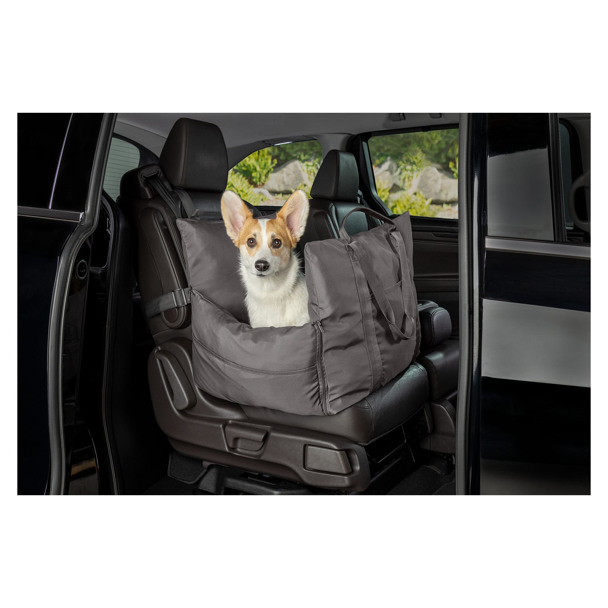 Car seats for small dogs outlet petsmart