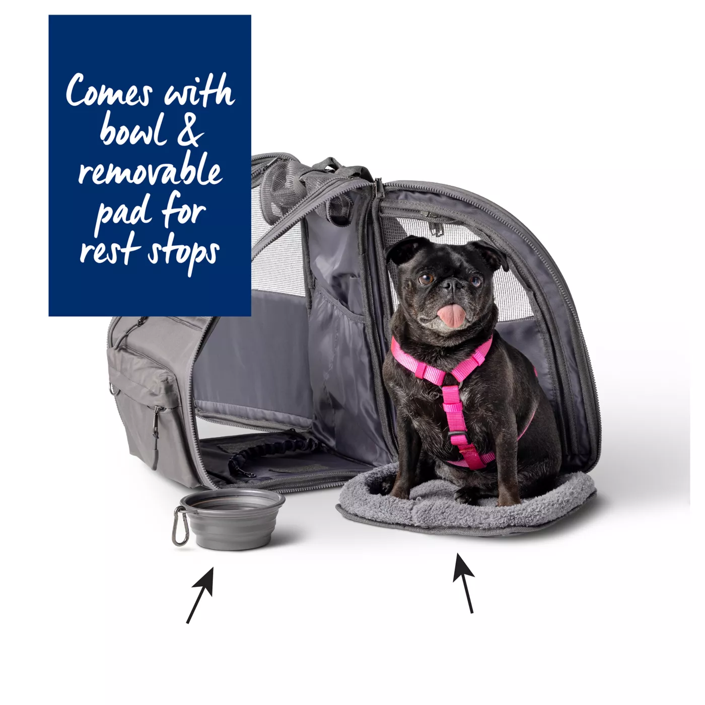 Dog backpack airline approved hotsell