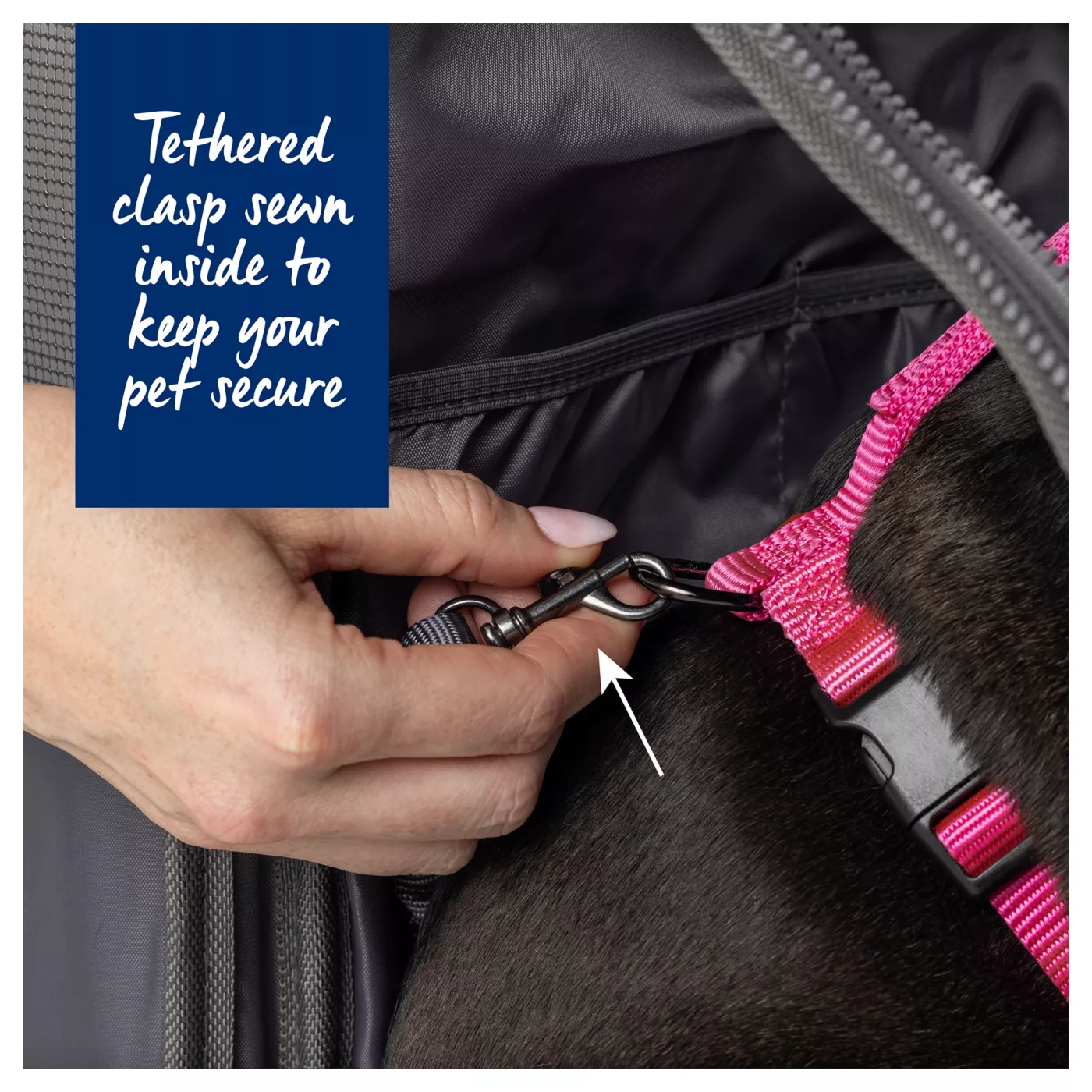 Top Paw Functional All Day Backpack