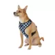 Product Top Paw® Checkered Comfort Dog Harness