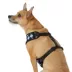 Top Paw® Checkered Comfort Dog Harness image thumbnail 2