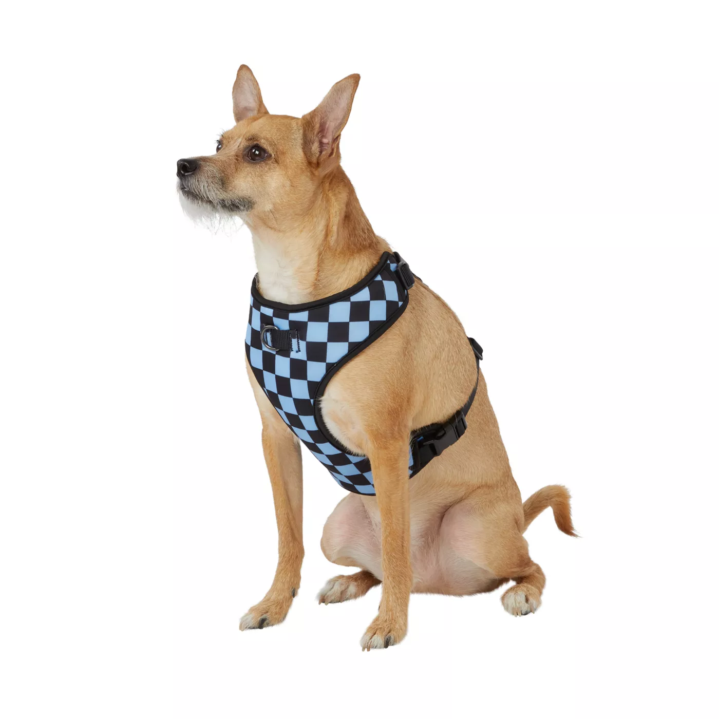 Top Paw Blue Checkered Comfort Dog Harness