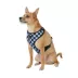 Top Paw® Checkered Comfort Dog Harness image thumbnail 1