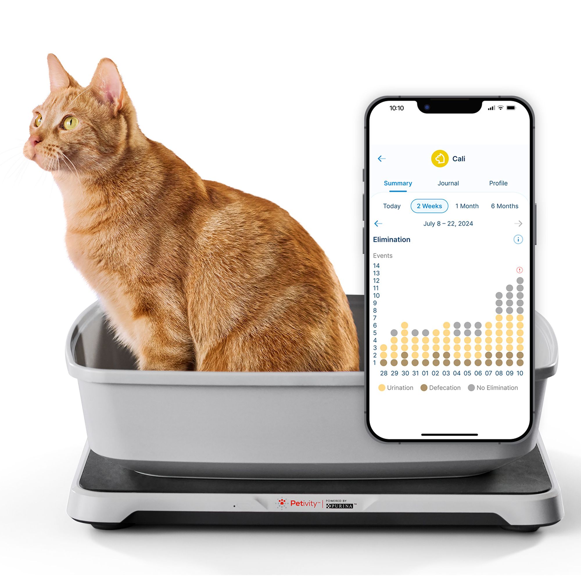 Petsmart store cat tracker