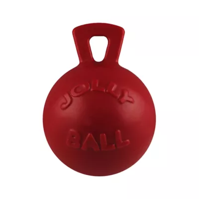 Product Jolly Pet Tug-n-Toss Dog Toy