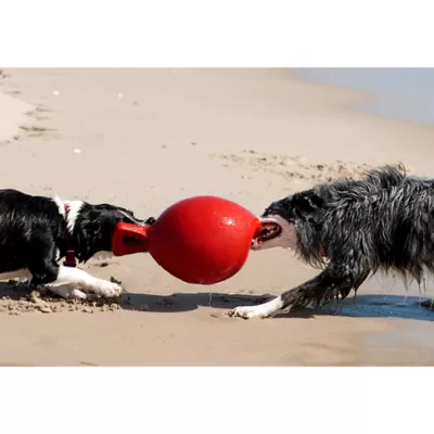 Product Jolly Pet Tug-n-Toss Dog Toy