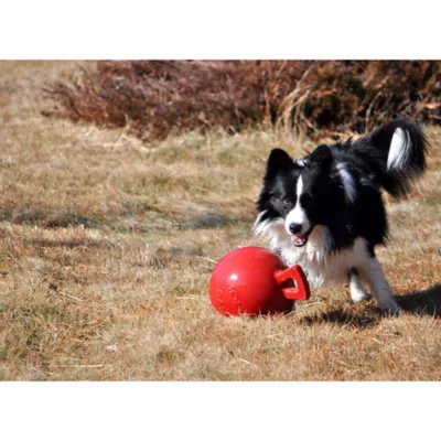 Product Jolly Pet Tug-n-Toss Dog Toy