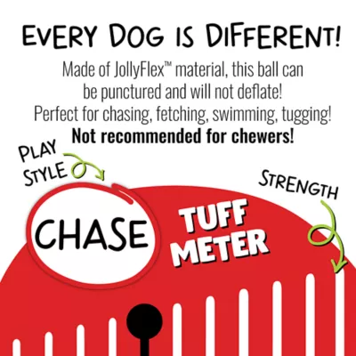 Product Jolly Pet Tug-n-Toss Dog Toy
